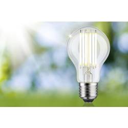 Paulmann 29219 LED Energetická třída (EEK2021) A (A - G) E27 válcový tvar 5 W teplá bílá (Ø x v) 60 mm x 106 mm vlákno 1 ks