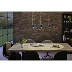 Paulmann Pendel Aldan svítidla do lištových systémů (230 V) URail pevně vestavěné LED 8.5 W LED černá (matná), černá