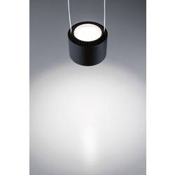 Paulmann Pendel Aldan svítidla do lištových systémů (230 V) URail pevně vestavěné LED 8.5 W LED černá (matná), černá