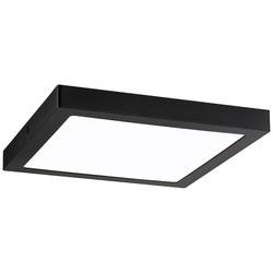 Paulmann 71026 Abia LED stropní svítidlo 22 W černá