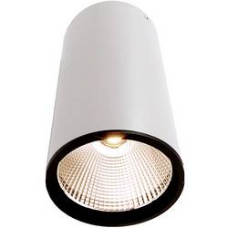 Deko Light 348063 Luna Stropní svítidlo LED Energetická třída (EEK2021): G (A - G) 40.2 W bílá