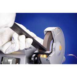 PFERD TOOLS 39009719 Brusný kotouč do stojanové brusky Průměr 200 mm 60 1 ks