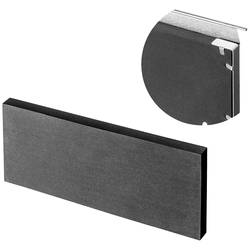 FIAP 2404-2 SpaltSkim ACTIVE 12.000 jezírkový skimmer 1 ks