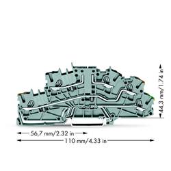 WAGO 2003-6643 patrová instalační svorka 5.20 mm pružinová svorka šedá 50 ks