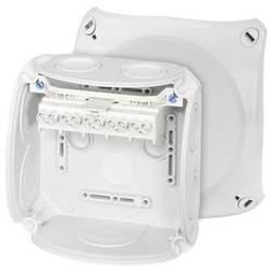 Hensel 62000007 rozbočovací krabice (d x š x v) 77 x 130 x 130 mm šedobílá (RAL 7035) IP66 1 ks