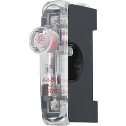 TRU COMPONENTS, 743057 držák pojistky, 24 V/DC, 10 A, 1 ks