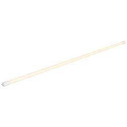 SLV LED trubice Energetická třída (EEK2021): E (A - G) G13 T8 24 W teplá bílá (Ø x d) 28 mm x 1510 mm 1 ks