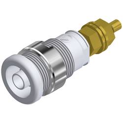 SKS Hirschmann SEB 2600 G M4 bezpečnostní laboratorní zásuvka zásuvka, vestavná vertikální Ø pin: 4 mm bílá 1 ks