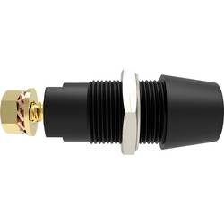 Schützinger DI SAB 9430 Au / SW bezpečnostní montážní zásuvka 4 mm Rovná černá 1 ks