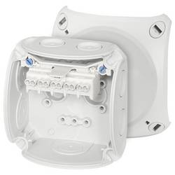 Hensel 62000001 rozbočovací krabice (d x š x v) 62 x 93 x 93 mm šedobílá (RAL 7035) IP66 1 ks