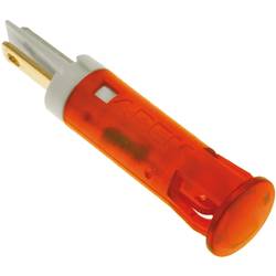 APEM QS81XXO24 indikační LED oranžová 24 V/DC