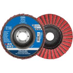 PFERD 44695111 Pvz vějířovitý brusný kotouč Průměr 125 mm Ø otvoru 22.23 mm 5 ks