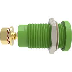 Schützinger DI SEB 9424 Au / GN bezpečnostní vestavná zásuvka 4 mm Rovná zelená 1 ks