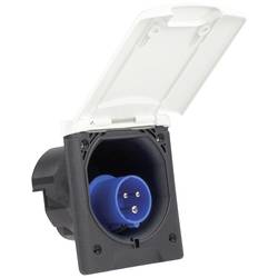 AS Schwabe 62470 CEE-CARA napájecí zástrčka, 16 A, 230 V, 1 ks