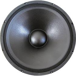 Sintron 203375 20 cm PA subwoofer 100 W 8 Ω