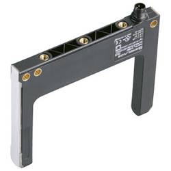 Pepperl+Fuchs GLP80-RT/40b/103/156 světelná závora, 210609, 10 - 30 V/DC, 1 ks
