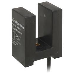 Pepperl+Fuchs GL-ES-IR/115/120 světelná závora, 808313, 10 - 30 V/DC, 1 ks