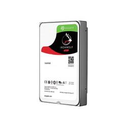 Seagate IronWolf™ 10 TB interní pevný disk 8,9 cm (3,5) SATA III ST10000VN000 Bulk