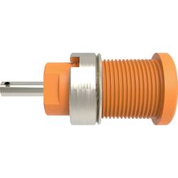 Schützinger DI SEB 6525 Ni / OR bezpečnostní vestavná zásuvka 4 mm Rovná oranžová 1 ks