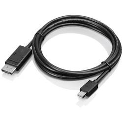 Lenovo 0B47091 Mini-DisplayPort / DisplayPort kabelový adaptér černá 1.20 m
