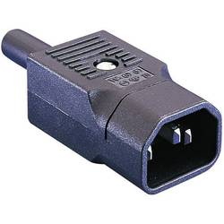 Bulgin PX0686 IEC zástrčka C13/C14 PX zástrčka, rovná Počet kontaktů: 2 + PE 10 A černá 1 ks