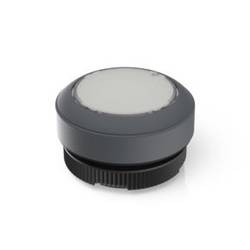 RAFI RAFIX 22 FS, 1.30.270.901/2207 světelné tlačítko , 22.3 mm, 1 ks
