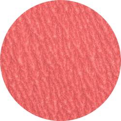 PFERD 42778512 Brusný kotouč s krátkými vlákny Průměr 50 mm hliník, bronz, nerezová ocel, titan, temperovaná litina 100 ks