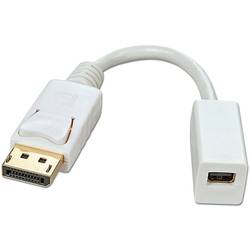 LINDY 41060 DisplayPort / Mini-DisplayPort kabelový adaptér [1x zástrčka DisplayPort - 1x mini DisplaPort zásuvka] bílá 15.00 cm