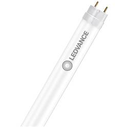 LEDVANCE LED Energetická třída (EEK2021): C (A - G) G13 zářivkový tvar T8 KVG, VVG 15.6 W neutrální bílá (Ø x d) 26.7 mm x 1212 mm 1 ks