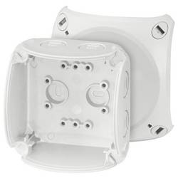 Hensel 62000041 rozbočovací krabice (d x š x v) 62 x 93 x 93 mm šedobílá (RAL 7035) IP66, IP67, IP69 1 ks
