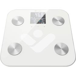 truelife FitScale W6 BT Osobní váha digitální Max. váživost=180 kg bílá, šedá s Bluetooth