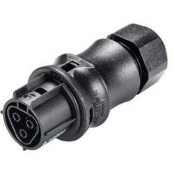 Wieland Electric 96.031.0053.1 kulatý faston, 1 ks