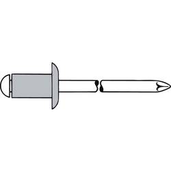 Gesipa 1433505 slepý nýt (Ø x d) 5 mm x 25 mm ocel hliník 250 ks