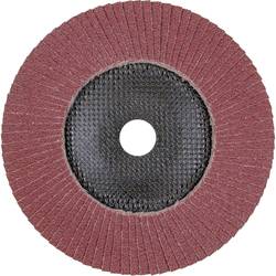 PFERD TOOLS 67746185 PFC 180 A 60 PSF STEELOX vějířovitý brusný kotouč Průměr 180 mm Ø otvoru 22.23 mm Zrnitost 60 nerezová ocel, ocel 10 ks