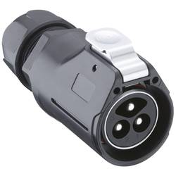 Lutronic 2850 ... T20C... T 2850 03 T20CR T kulatý konektor DIN, 1 ks