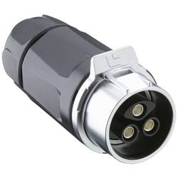 Lutronic 2840 ... T20C... A 2840 02 T20CR A kulatý konektor DIN, 1 ks