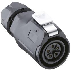 Lutronic 2440 ... T09CB T 2440 08 T09CB T kulatý konektor DIN, 1 ks