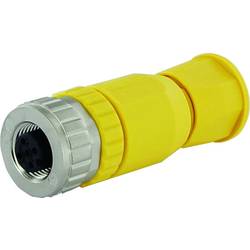Murrelektronik 7030-12931-0000000 neupravený zástrčkový konektor pro senzory - aktory zásuvka, rovná Počet pólů: 5 1 ks