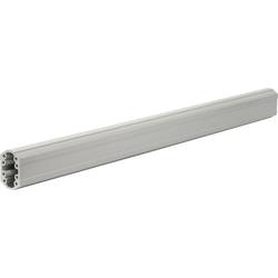 Rittal CP 6206.100 opěrný úsek uzavřená, (d x š x v) 1000 x 59 x 85 mm, hliník, světle šedá, 1 ks