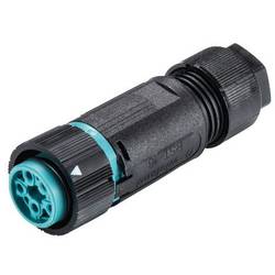 Wieland Electric RST16I5 S B1 ZT6S A TB 46.051.4553.6 kulatý faston, 1 ks