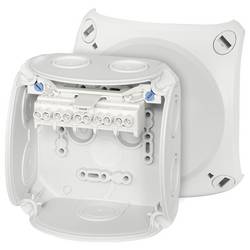 Hensel 62000004 rozbočovací krabice (d x š x v) 70 x 104 x 104 mm šedobílá (RAL 7035) IP66 1 ks
