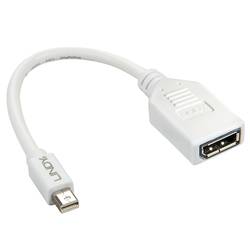LINDY 41021 DisplayPort / Mini-DisplayPort kabelový adaptér [1x zásuvka DisplayPort - 1x mini DisplayPort zástrčka] bílá 15.00 cm