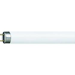 Philips LED zářivková trubice Energetická třída (EEK2021): G (A - G) G13 58.5 W neutrální bílá zářivkový tvar (Ø x d) 26 mm x 1500 mm 10 ks