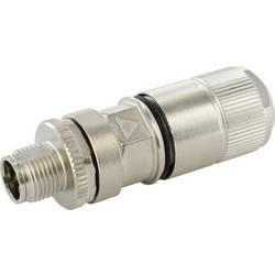 Murrelektronik Murr Elektronik neupravený zástrčkový konektor pro senzory - aktory, 7000-21101-0000000, piny: 8, 1 ks
