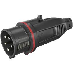 Walther Werke FW210506CC FW210506CC CEE zástrčka, 16 A, 5pólová, 400 V, 1 ks