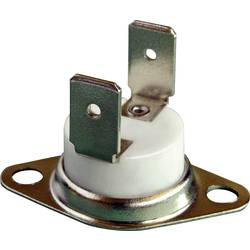 Thermorex TK24-T02-MG01-Ö210-S190 bimetalový spínač 250 V 16 A Teplota pro otevření (± 5°C) 210 °C Zavírací teplota 190 °C 1 ks