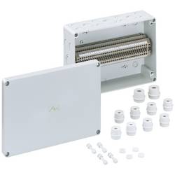 Spelsberg RKi 4/34-34x4q, 63503401 rozvodnice, IP66, 180 mm x 254 mm x 90 mm , 1 ks