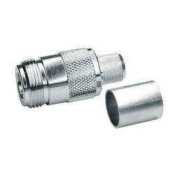 Telegärtner J01021A0063 100023999 N konektor spojka, rovná 50 Ω 1 ks