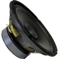 Sintron 203781 25 cm širokopásmový reproduktor 100 W 8 Ω černá