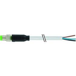 Murrelektronik 7000-08001-2100300 neupravený zástrčkový konektor pro senzory - aktory M8 x 1 zástrčka, rovná 3.00 m Počet pólů: 3 1 ks